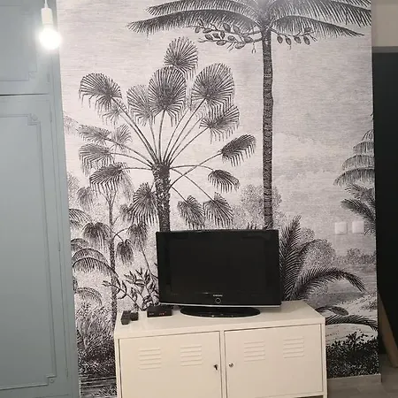 Riviera Palm *